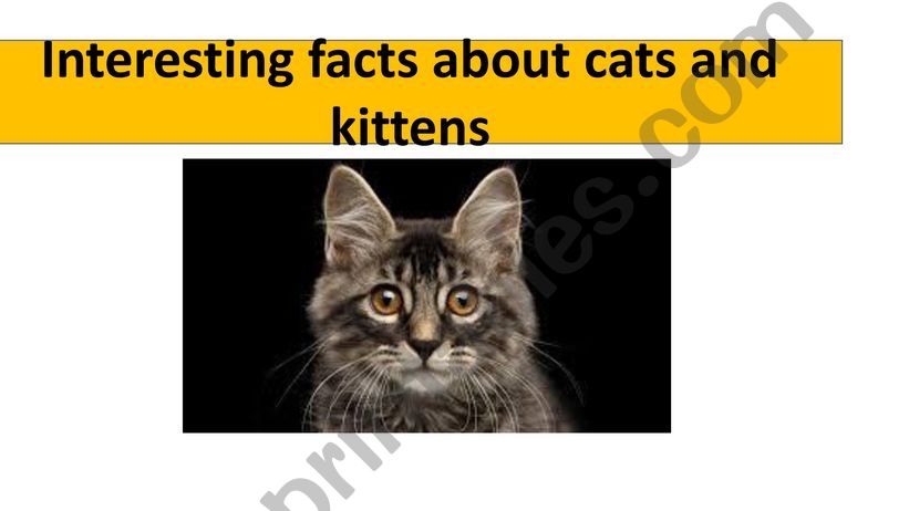 CATS powerpoint