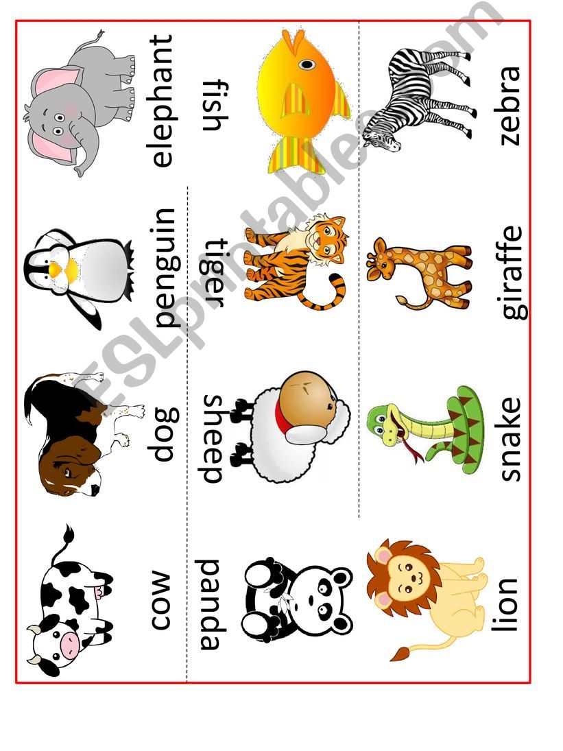 Animal Vocabulary powerpoint