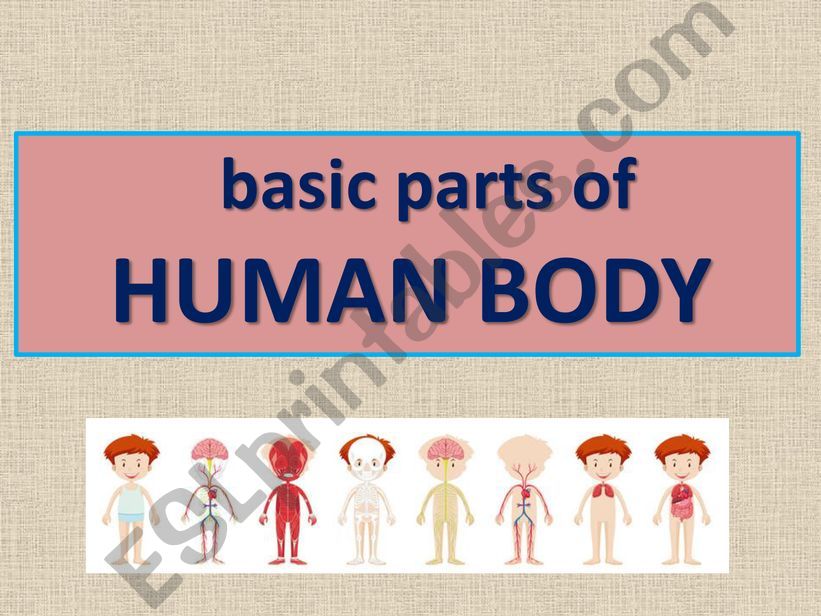 Basic parts of human body powerpoint