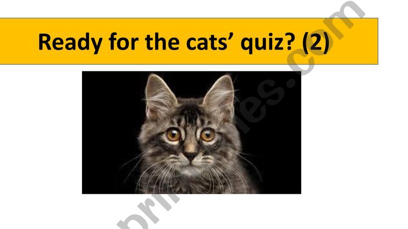 CATS QUIZ 2 powerpoint