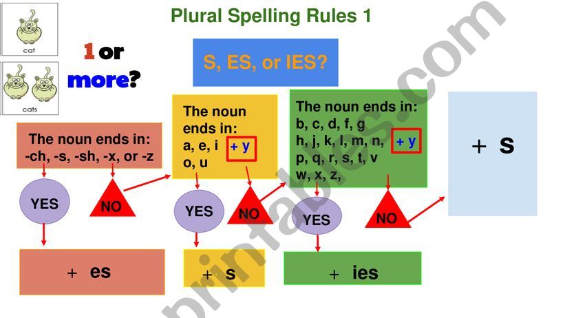 Plural Spelling Rules Flowchart