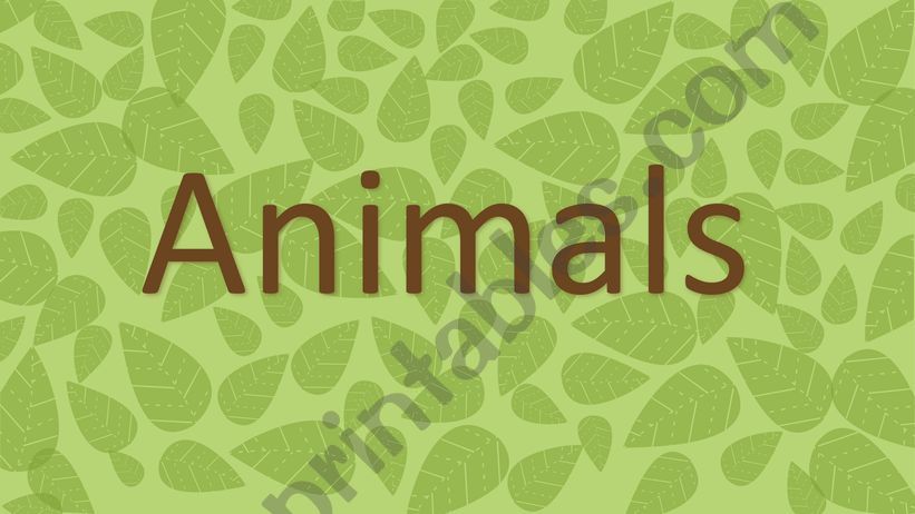 Animals powerpoint