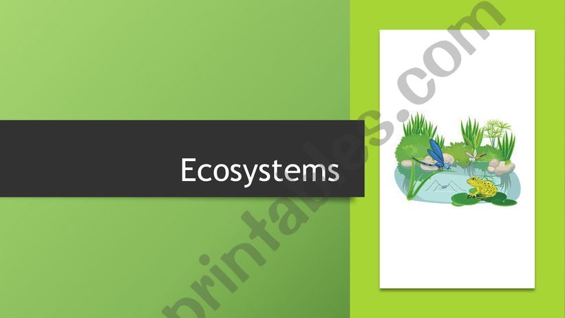 Ecosystems for kids powerpoint