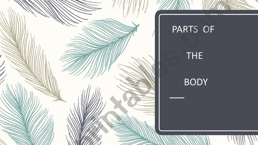 Body Parts powerpoint