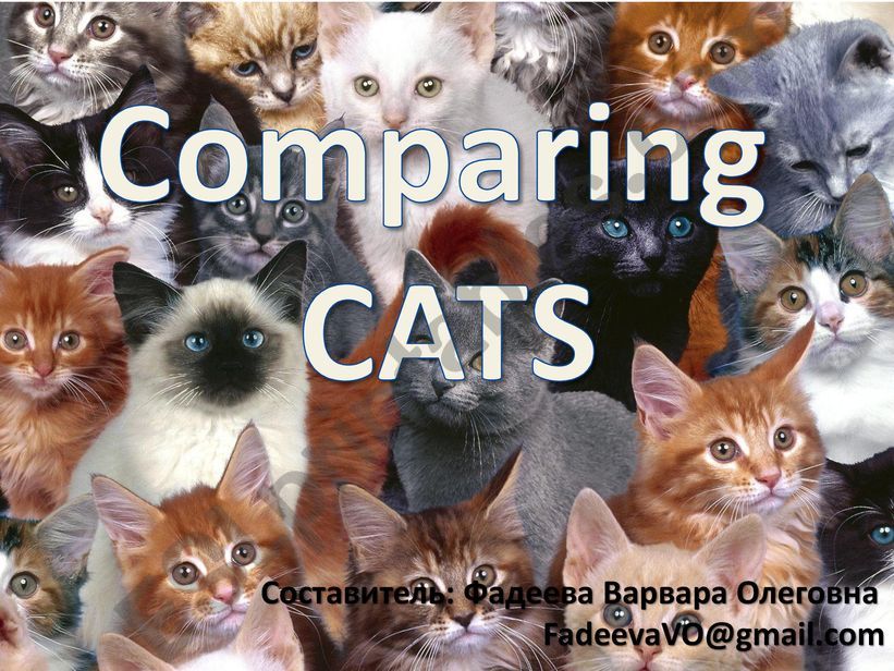 Comparing CATS powerpoint
