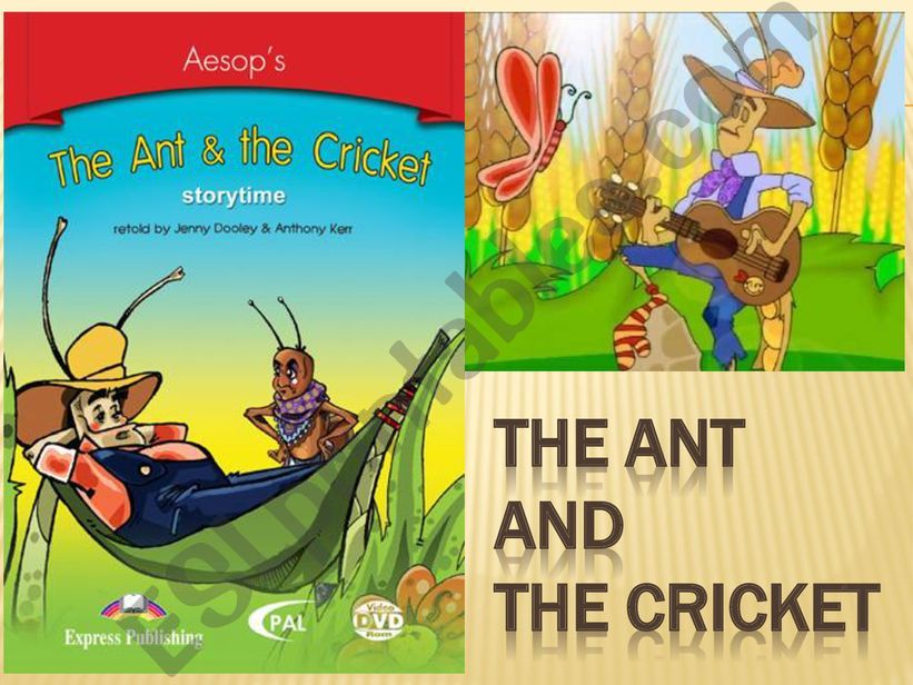 The Ant & The Cricket Questions And Discussion