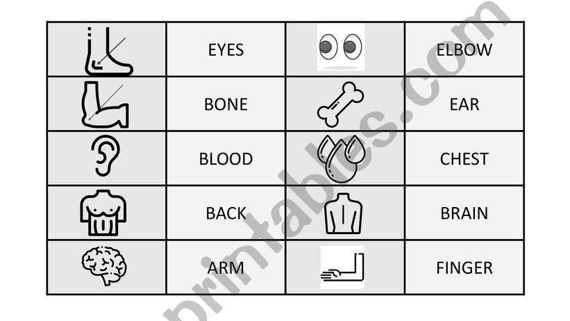 Parts of body DOMINO powerpoint