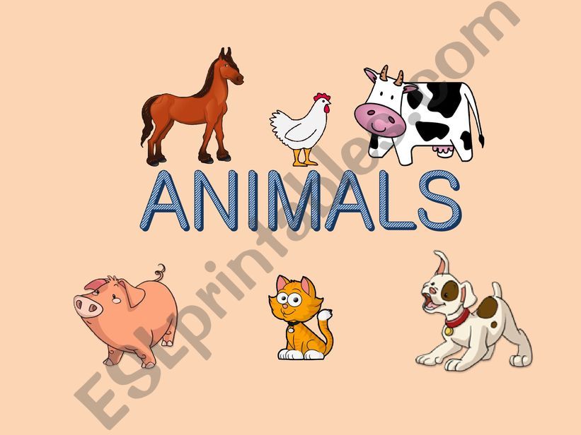Animals - matching game (memory)