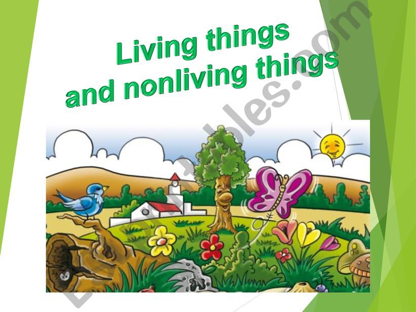 ANIMALS LIVING THINGS powerpoint