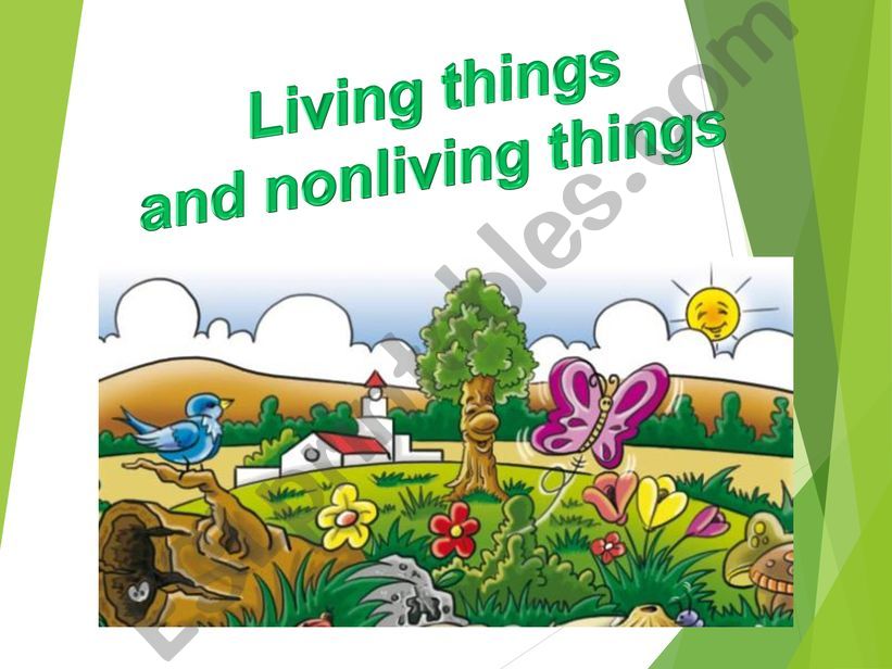 ANIMALS LIVING THINGS powerpoint