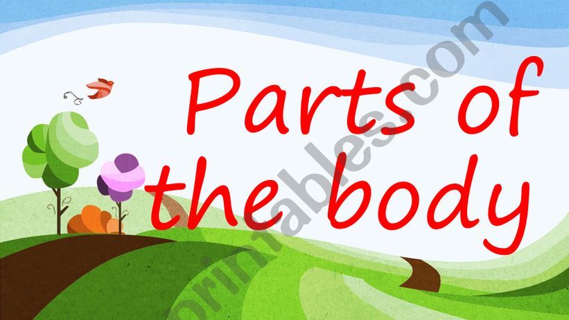 PARTS OF THE BODY VOCABULARY powerpoint