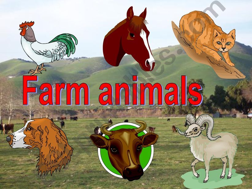 Animals for Kids powerpoint