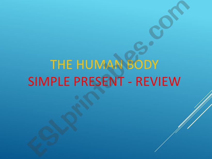 Simple Present + Human Body powerpoint