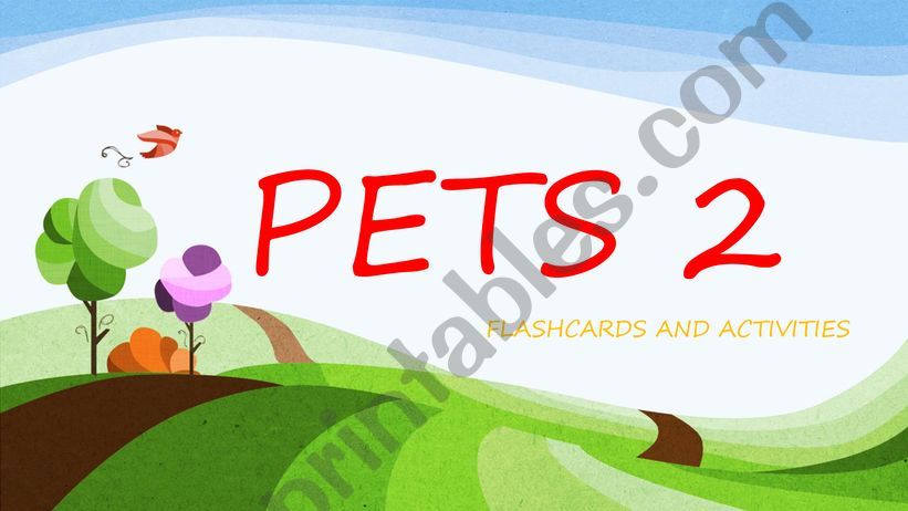 PETS 2 VOCABULARY AND GAME powerpoint