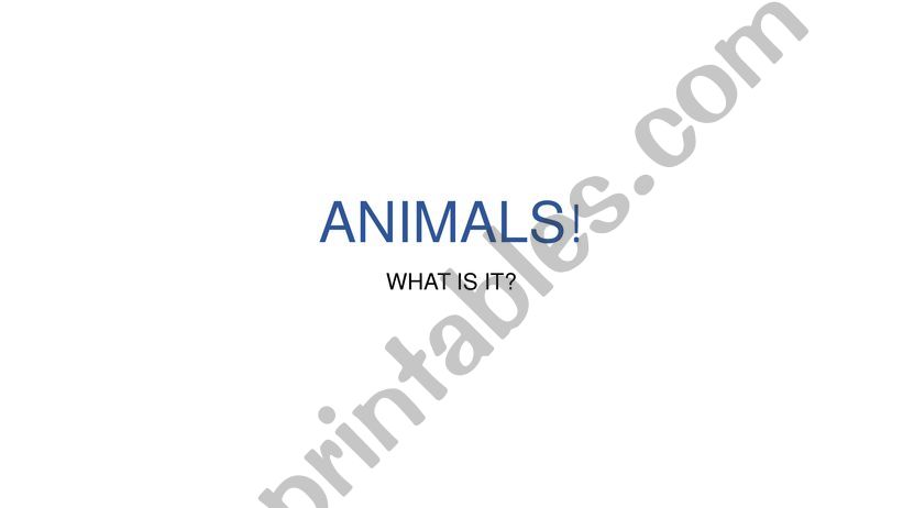 WHAT ANIMAL IS TI powerpoint