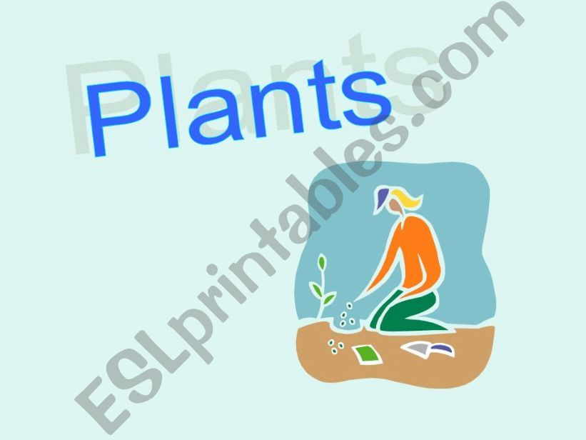 Plants powerpoint