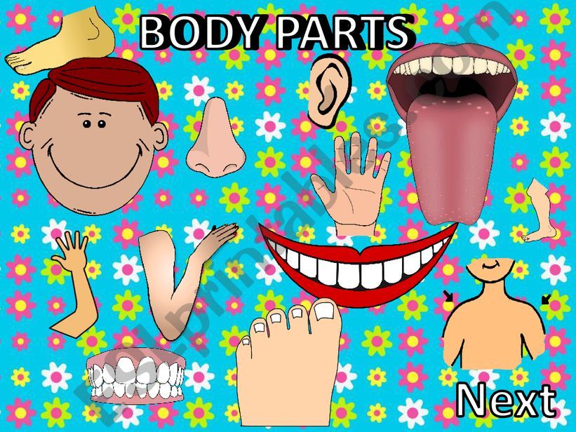 ❤❤❤❤ Body parts game ❤❤❤❤