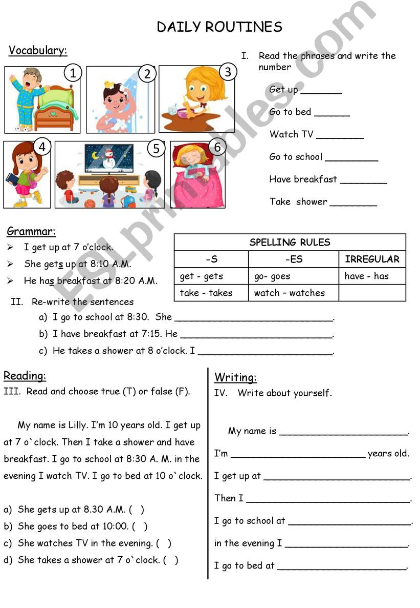 Daily routines powerpoint