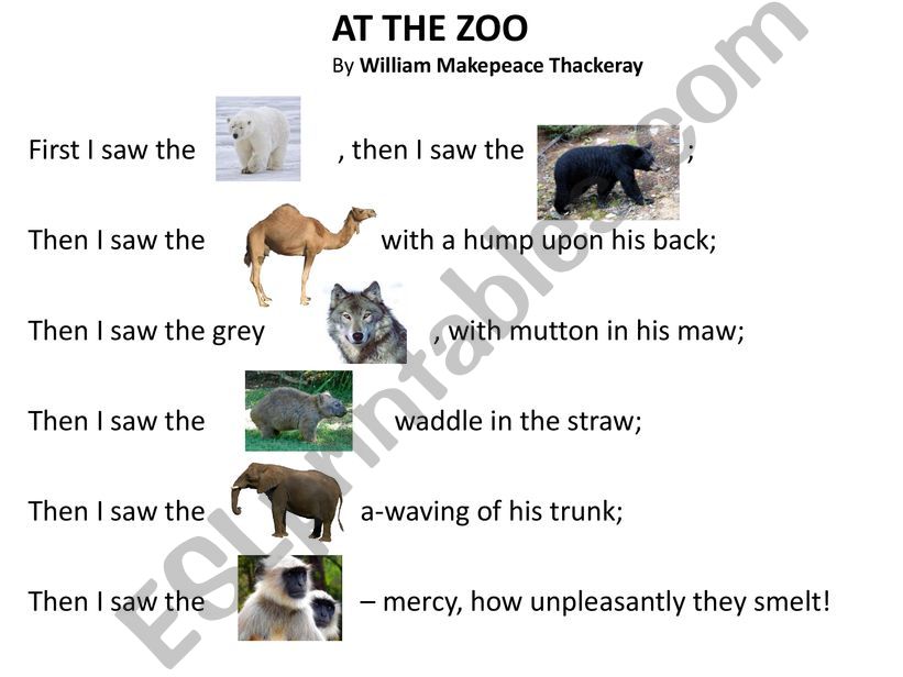 At the Zoo poem - reading comprehension