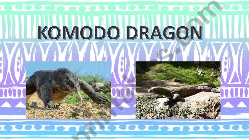 KOMODO DRAGON ENDANGERED ANIMALS 