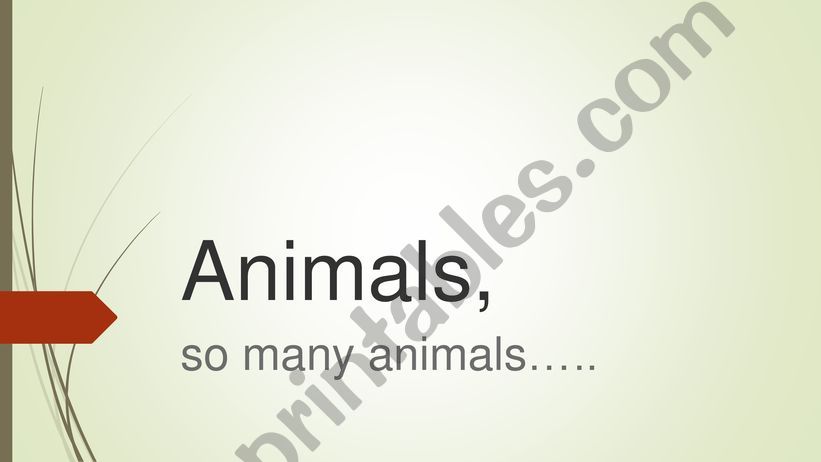 Animals, so many animals powerpoint