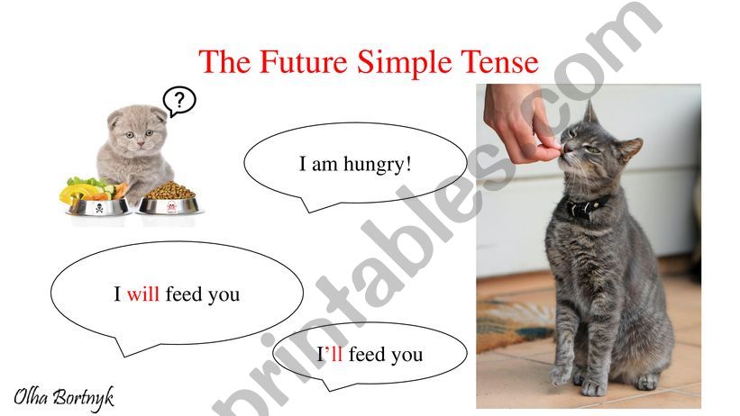 The Future Simple Tense powerpoint