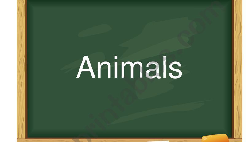 Animals powerpoint