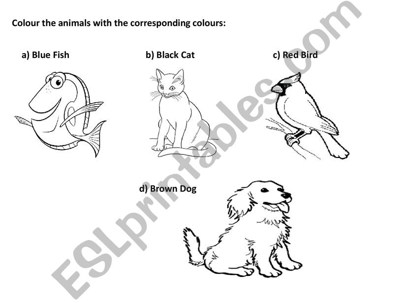 PETS AND COLOURS powerpoint