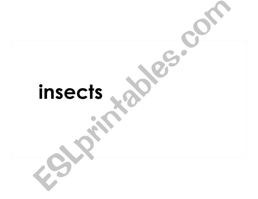 Insect Definition Booklet Montessori