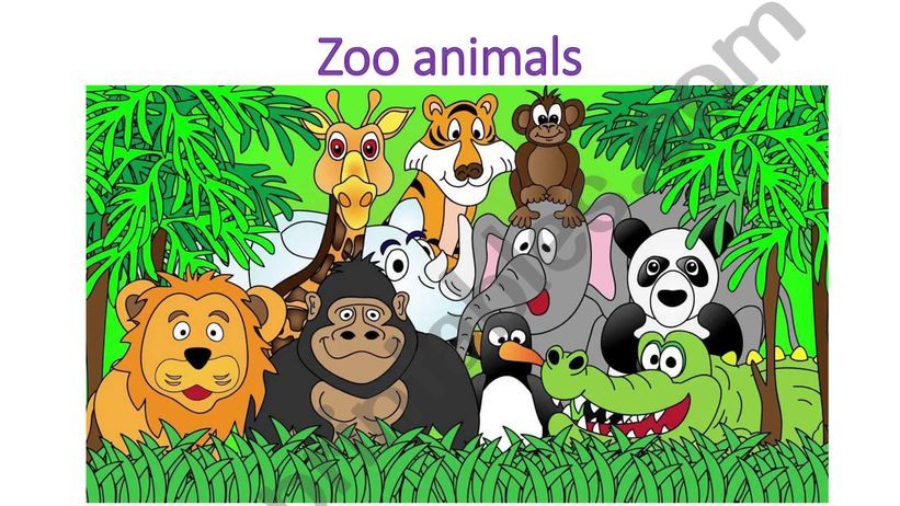 Zoo animals powerpoint