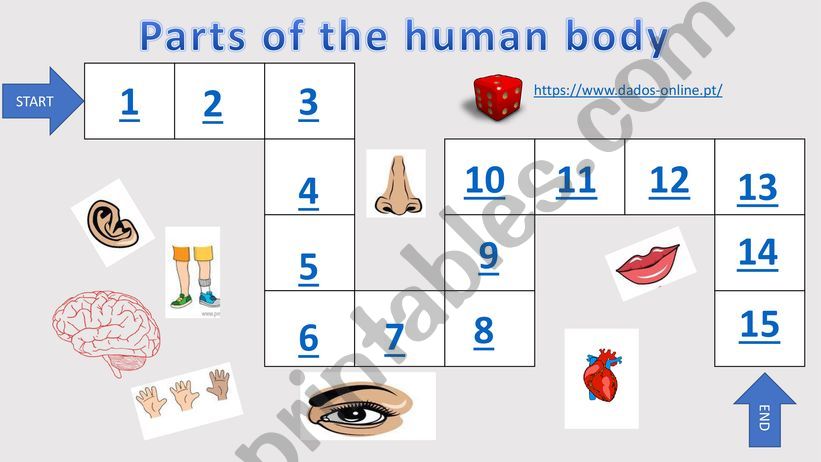 Parts of the body powerpoint