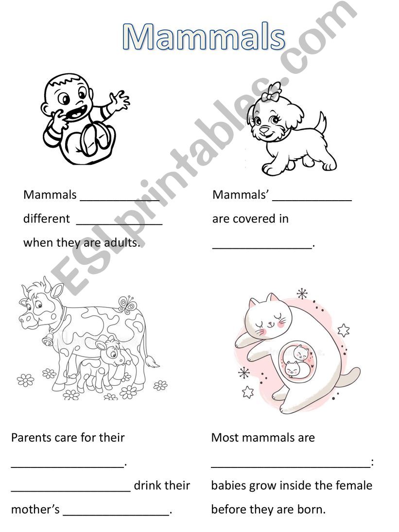 Mammals powerpoint