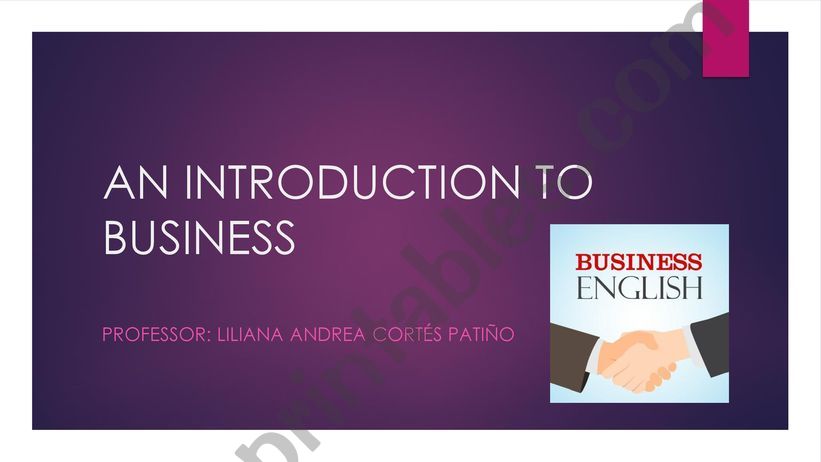 AN INTRODUCTION TO BUSINESS powerpoint
