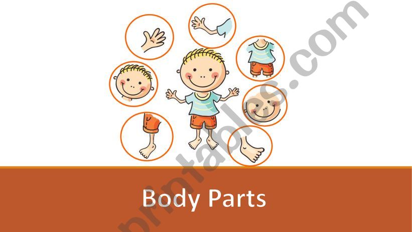body parts vocabulary and game