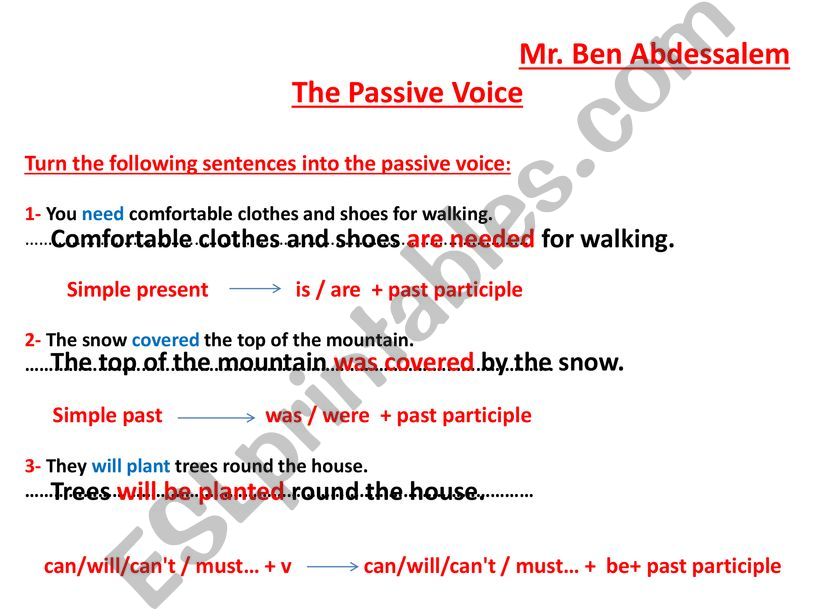 The passive voice  powerpoint