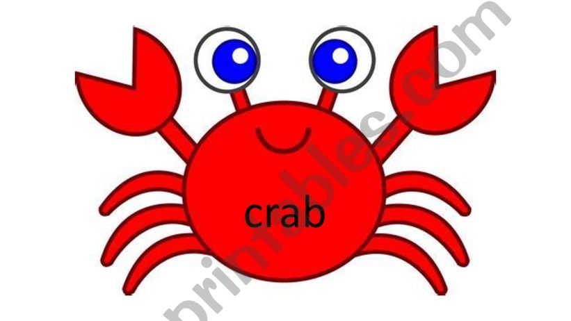 Crab Diagraphs powerpoint