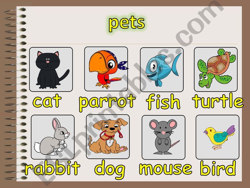 Pets powerpoint