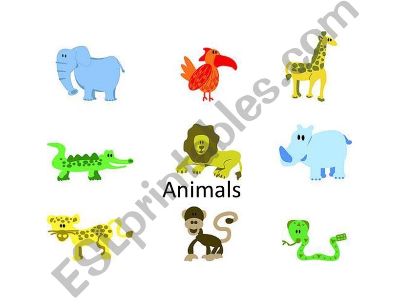 What animal can you see powerpoint