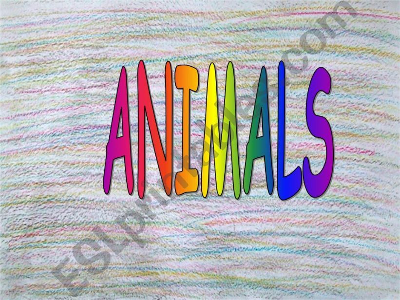 Crazy animals powerpoint