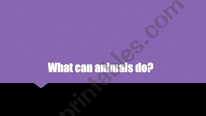 What can animals do? powerpoint