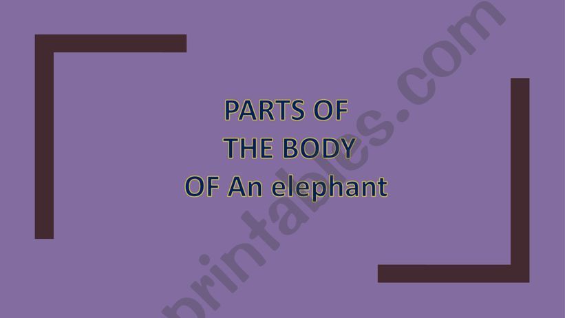 PARTS OF AN ELEPHANT powerpoint