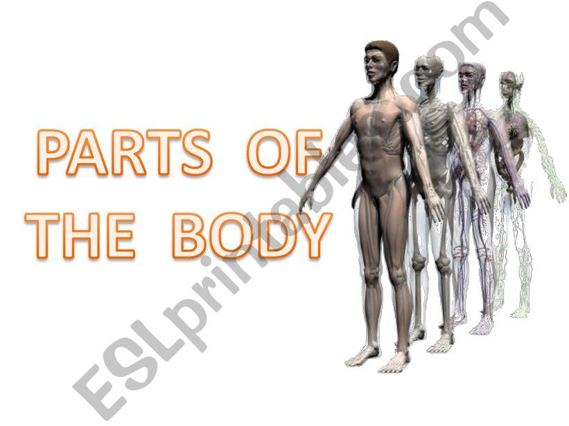 Parts of the body powerpoint