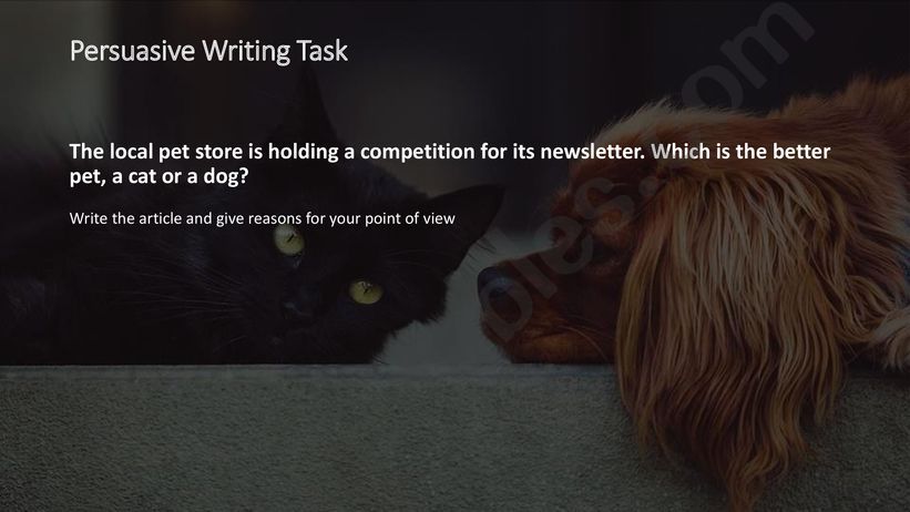 Cats or Dogs? Persuasive Writing Task 