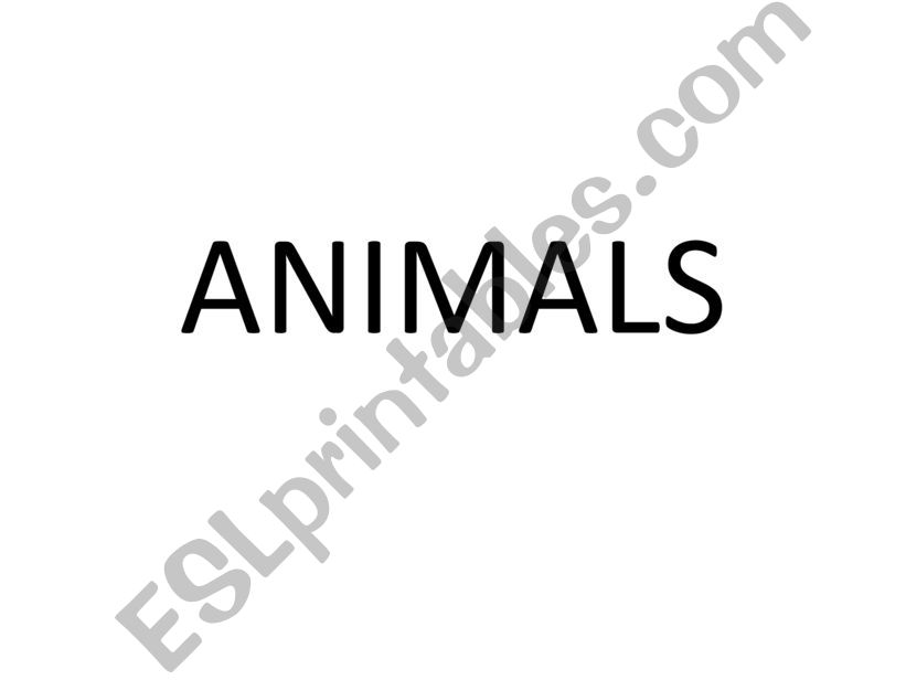 ANIMALS powerpoint