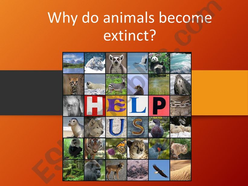 ESL - English PowerPoints: Endangered animals-causes