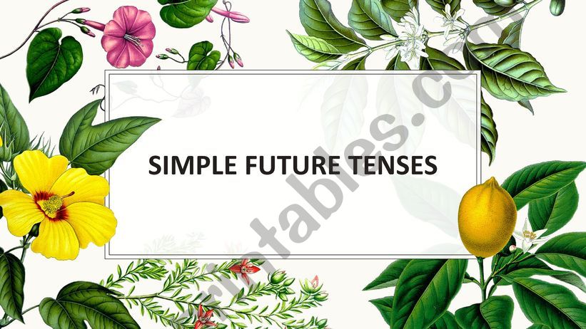 Future tenses - Will and be going to - Structures and uses