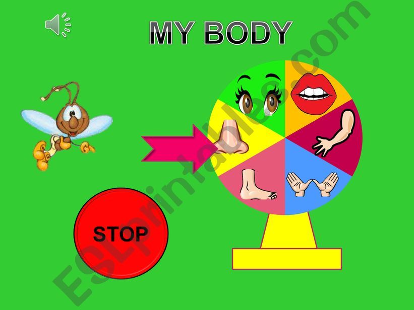 My body powerpoint