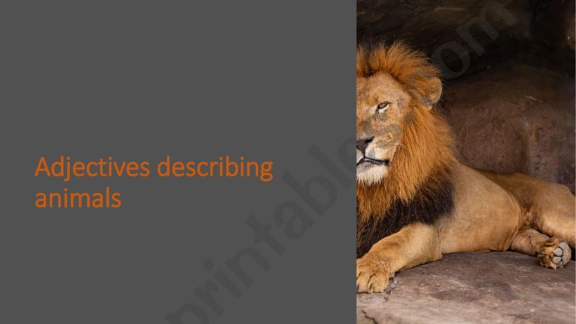 Animals and adjectives powerpoint