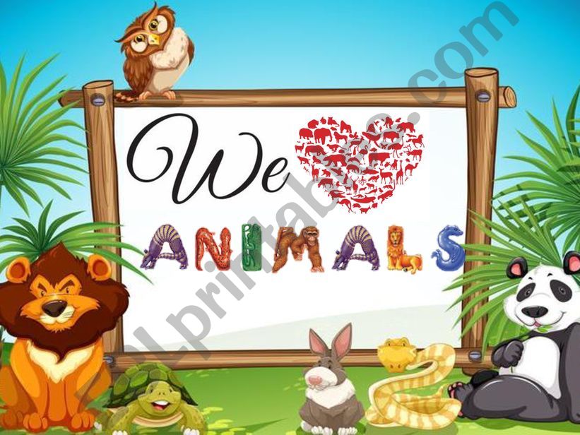 Animals Activities- Presentation