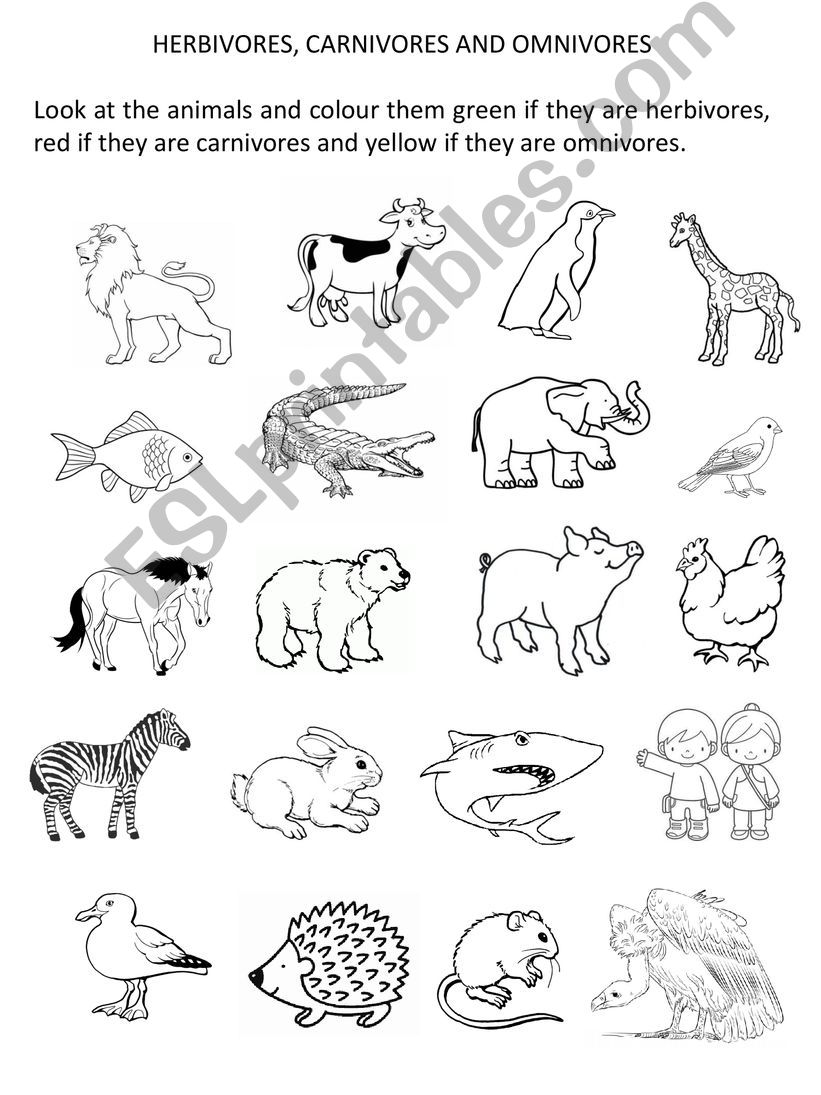 ESL - English PowerPoints: HERBIVORES, CARNIVORES AND OMNIVORES ESL - English PowerPoints: HERBIVORES, CARNIVORES AND OMNIVORES